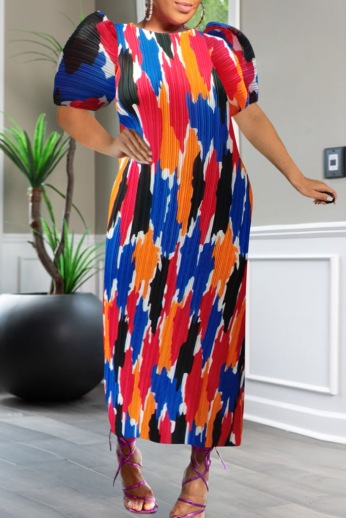 Casual Print Pleated O Neck Long Dresses